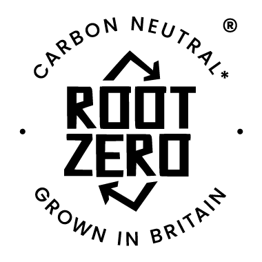 Root Zero